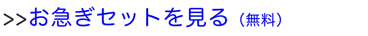 お急ぎセットへ