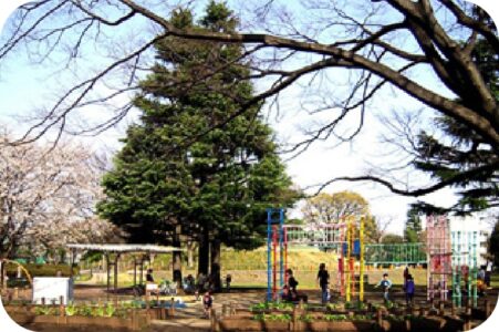 アライブ世田谷中町 の施設写真・外観・居室
