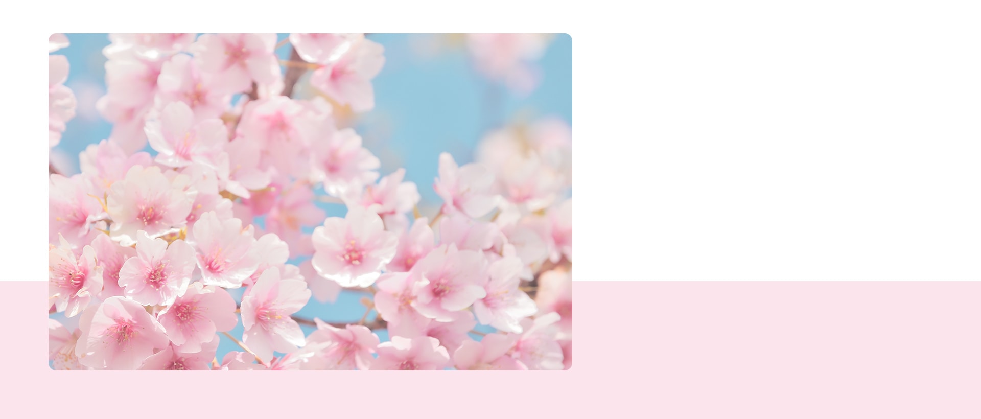 グループホーム　花のさと