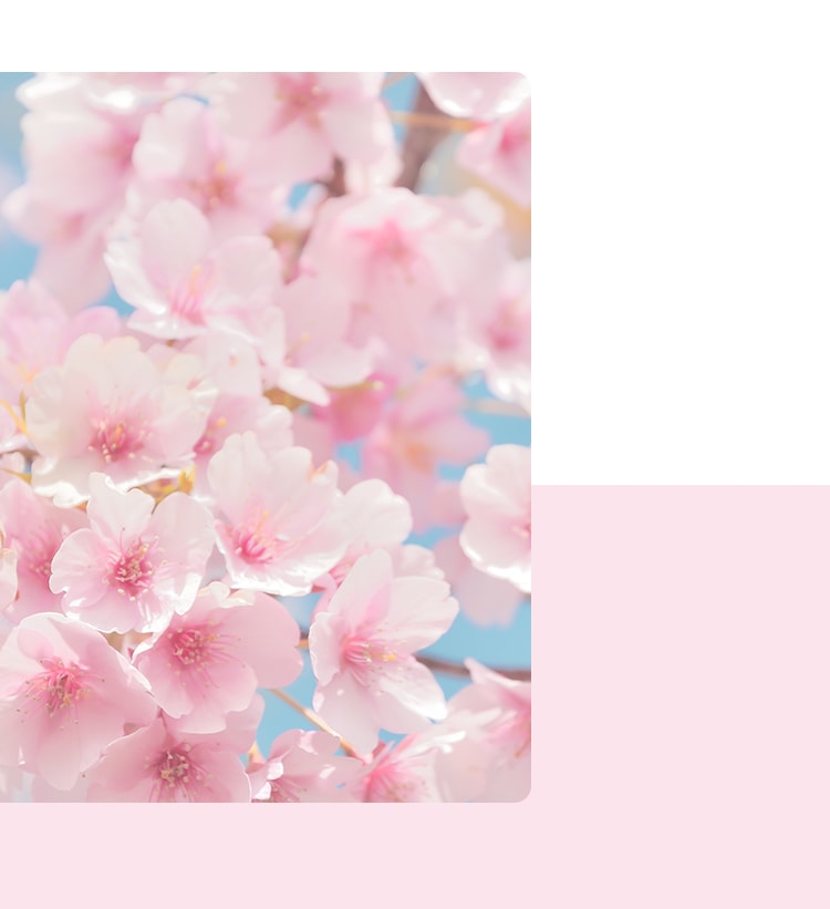 グループホーム　花のさと