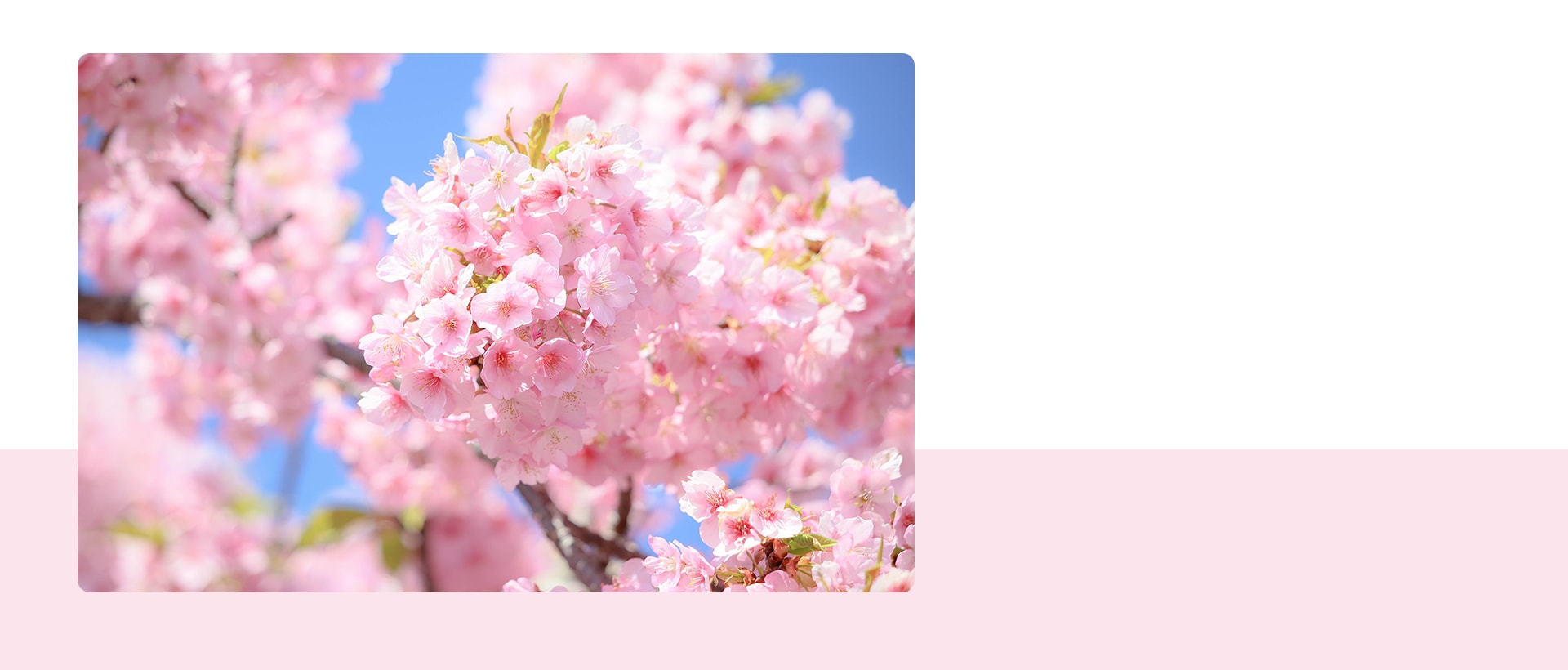 グループホーム　花のさと