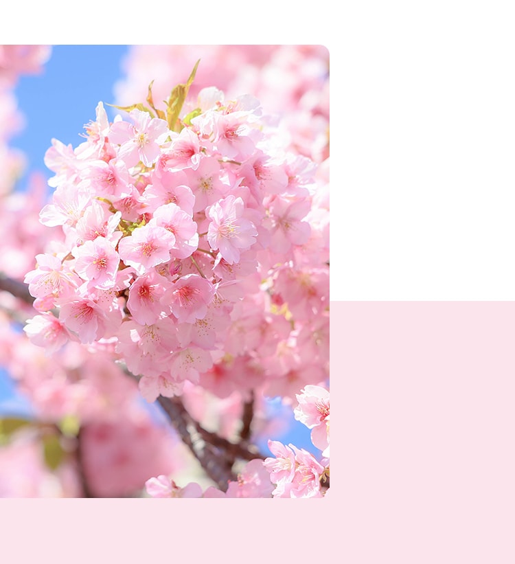 グループホーム　花のさと