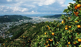 健輝苑有田川