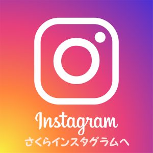 介護付有料老人ホームさくら南