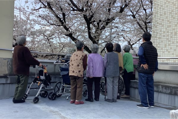 朝光苑