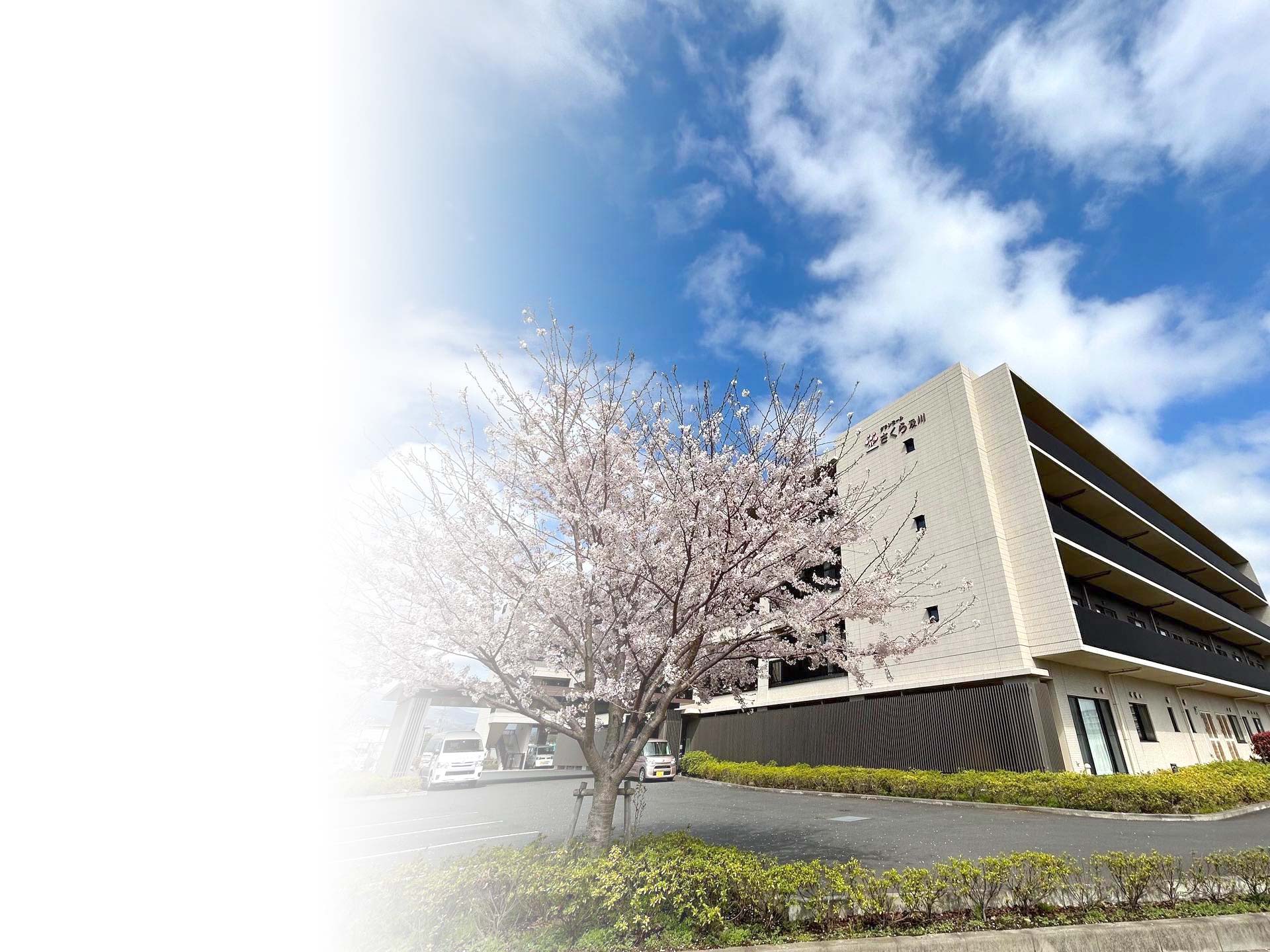 グランモールさくら及川