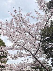 愛甲グリーンホーム