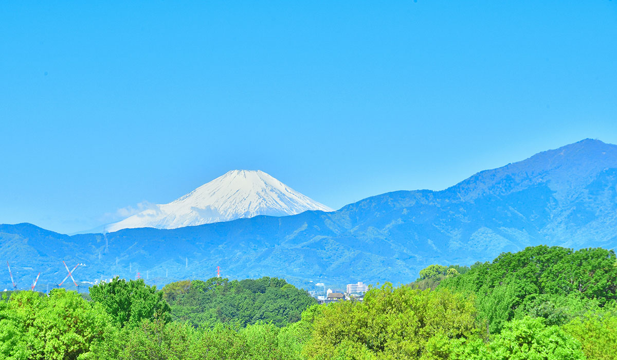 ヴィラ城山