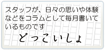 お寺のよこ