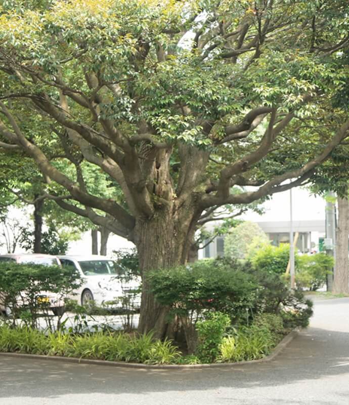 特別養護老人ホーム　フローラユーワ