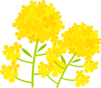 特別養護老人ホーム　菜の花園