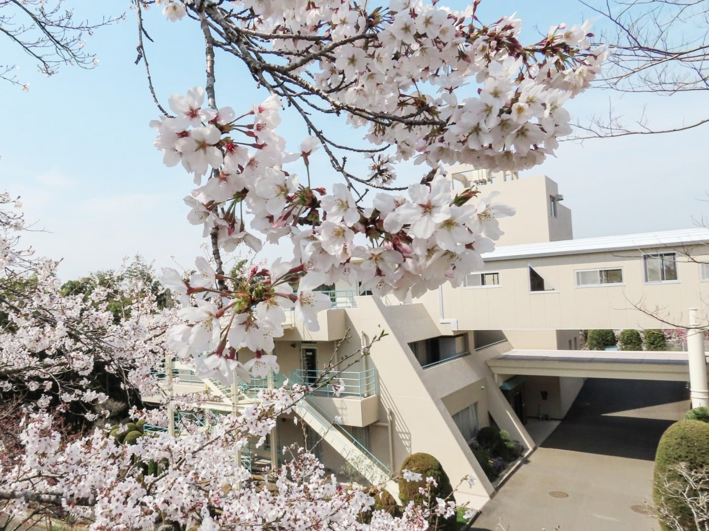 特別養護老人ホーム中野園