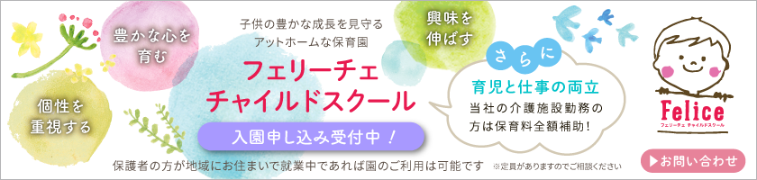 フェリーチェ知多