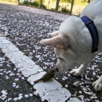 グループホーム あいの里すばる