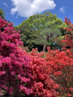 東急ウェリナ大岡山
