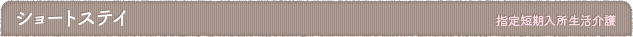 中心荘第二老人ホーム