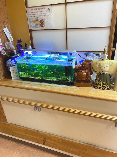 ホームステーションらいふ海老名