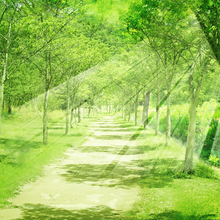 ＳＵＮ久倶楽部