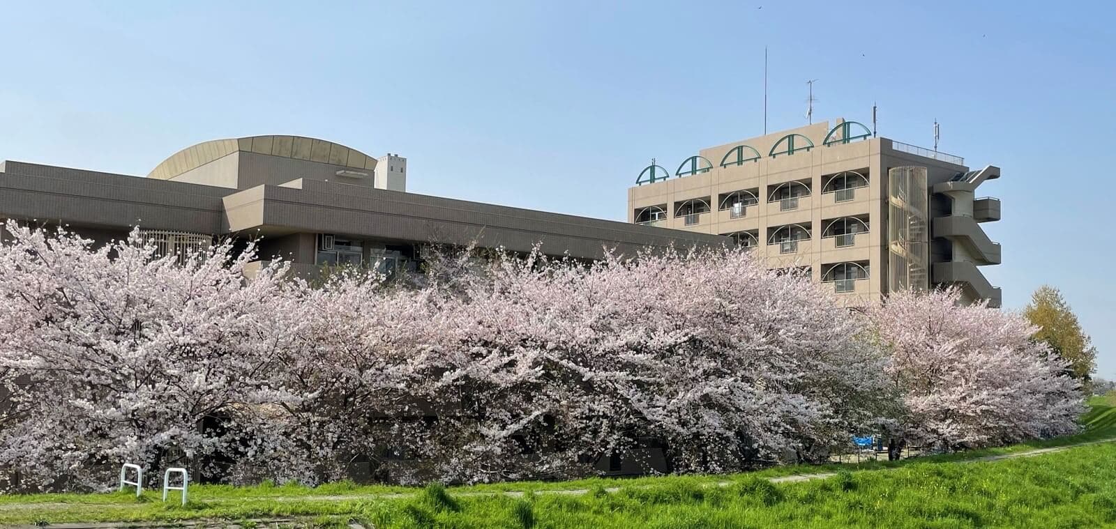 指定介護老人福祉施設　秋桜の里「かみふくおか」