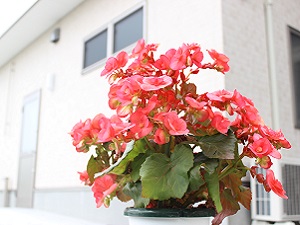 グループホームいこいの家源道寺