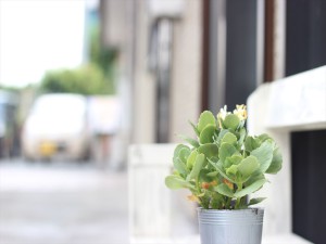 グループホームいこいの家源道寺