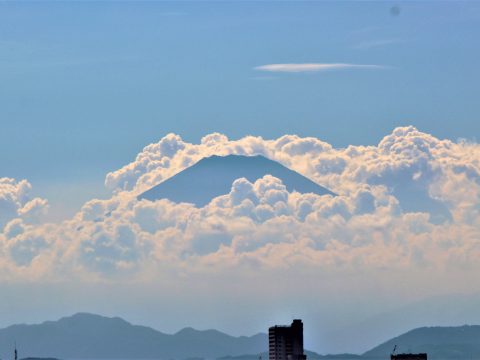 特別養護老人ホーム関野記念鵠生園