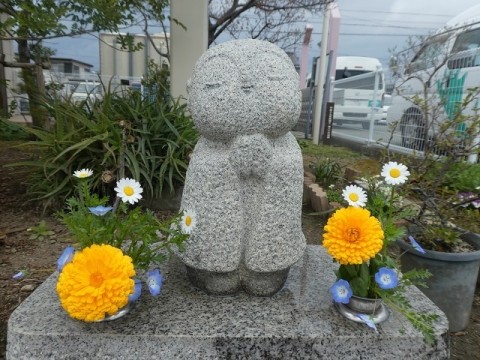 紫雲の園