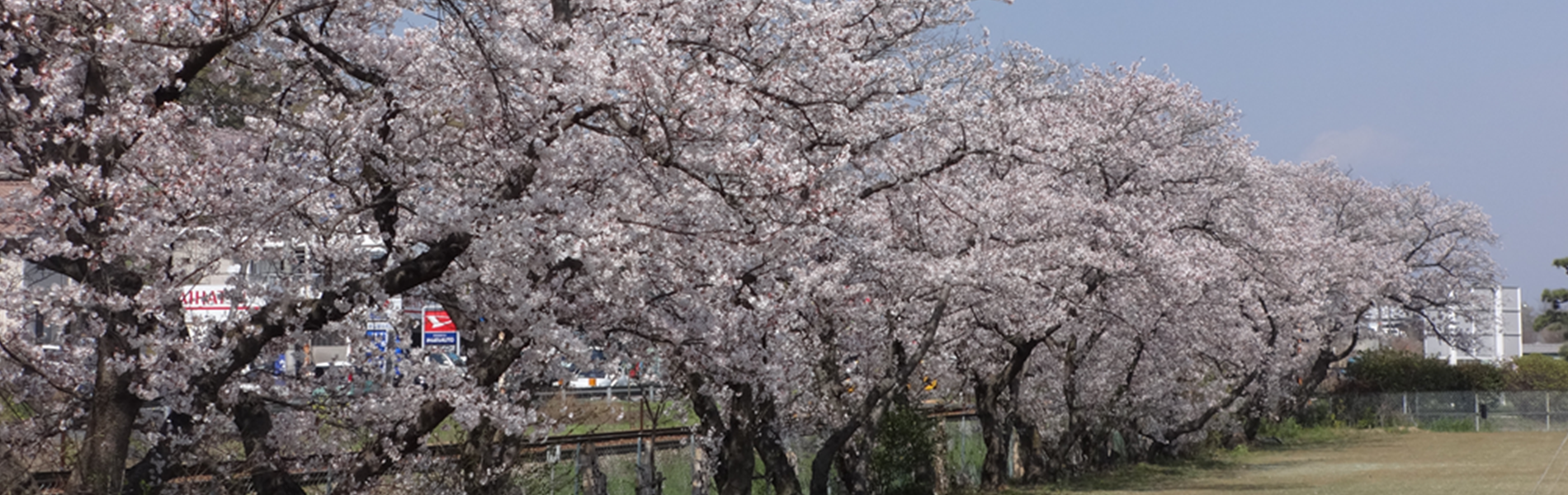 地域密着型特別養護老人ホーム桜