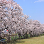 地域密着型特別養護老人ホーム桜