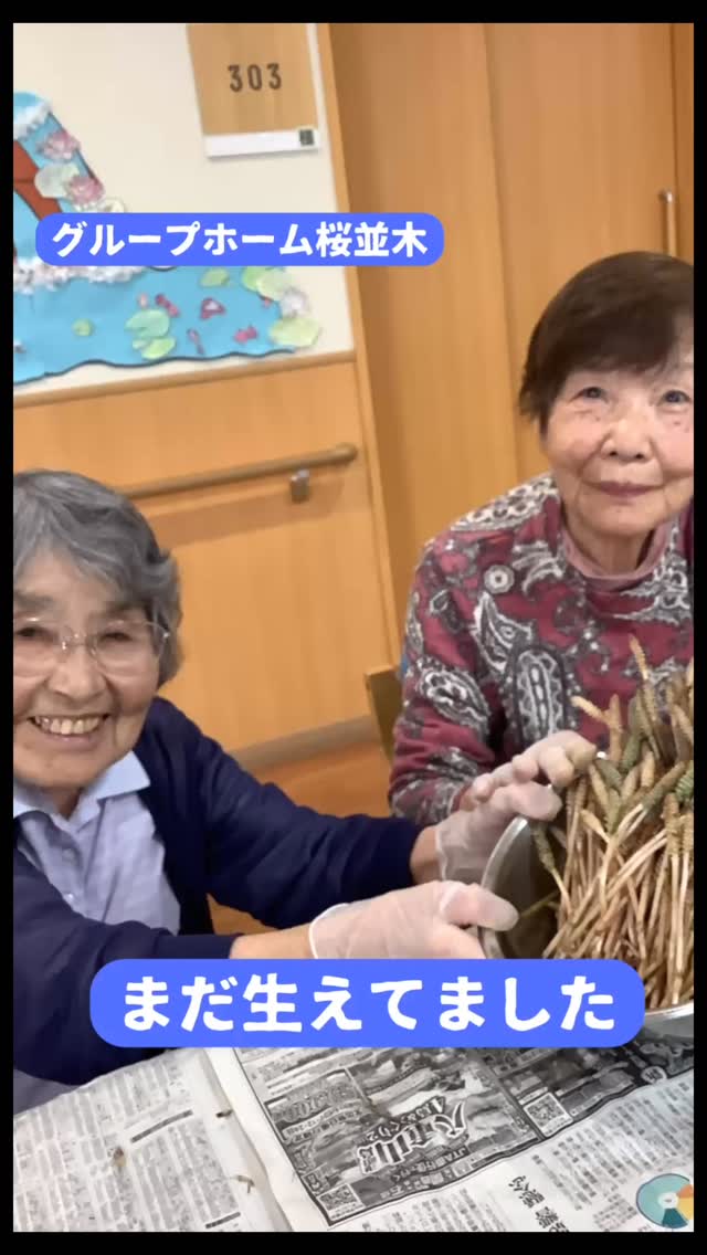 有料老人ホーム　桜並木