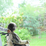 特別養護老人ホーム喜久寿苑｜岐阜市岐阜県岐阜市河渡２丁目４５番地の介護付き有料老人ホームの写真