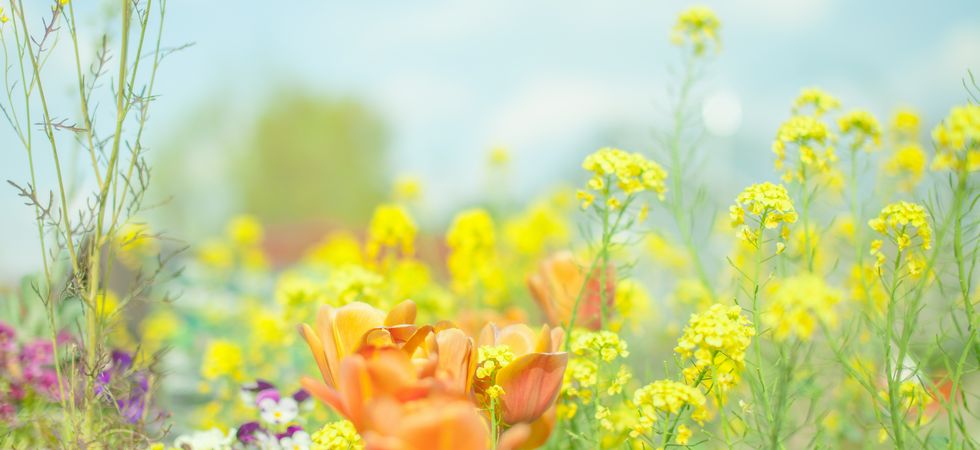 特別養護老人ホームコーリン