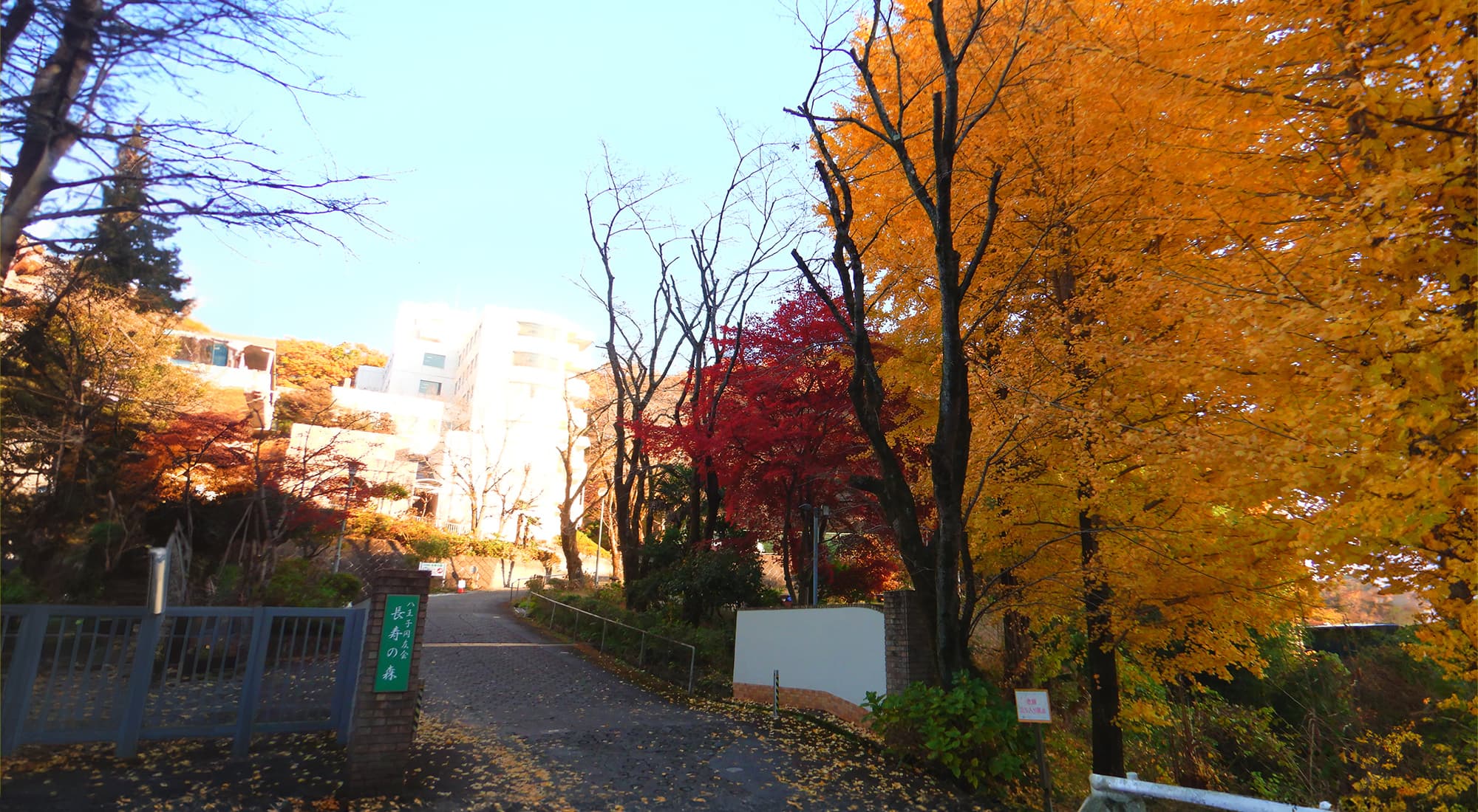 八王子同友会・長寿の森