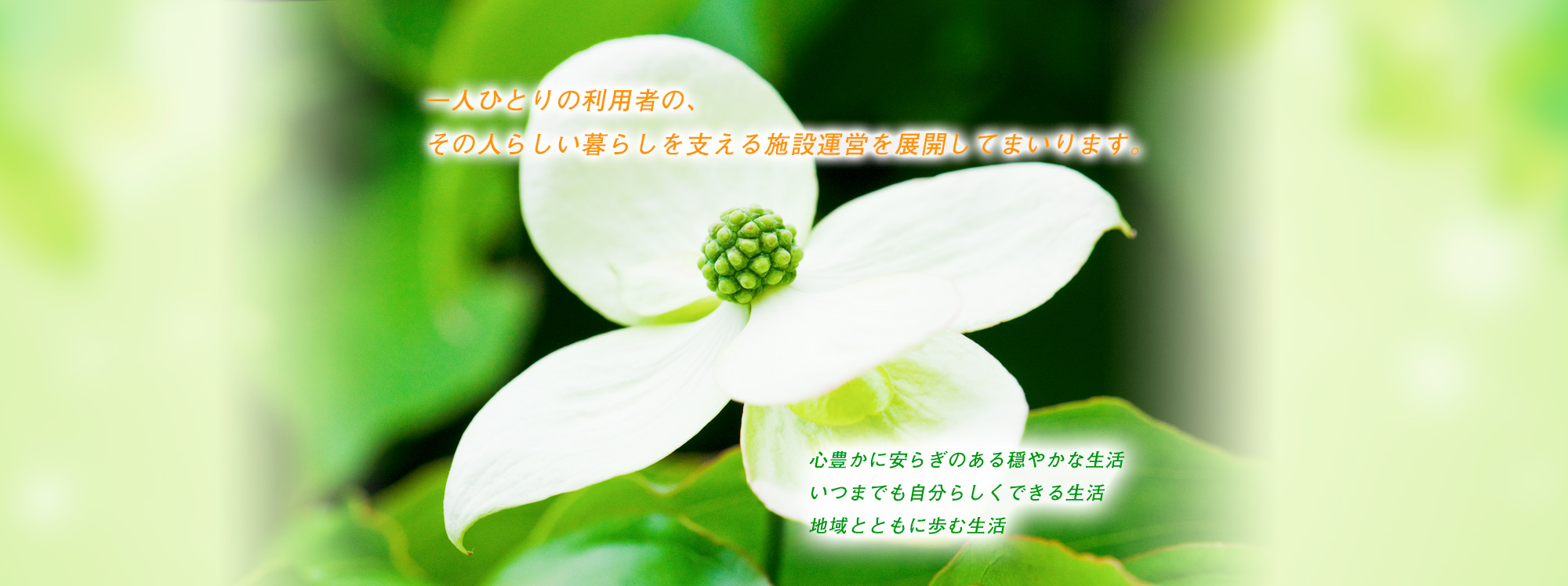高齢者住宅　グループハウス　やまぼうし