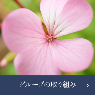 特別養護老人ホーム新生園
