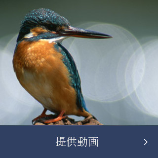 特別養護老人ホーム新生園