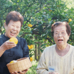 特別養護老人ホーム　さくら苑｜東大和市桜が丘2-122-4特別養護老人ホーム　さくら苑の介護付き有料老人ホームの写真