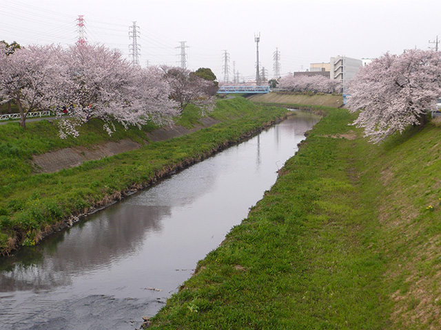 慶愛苑　平塚