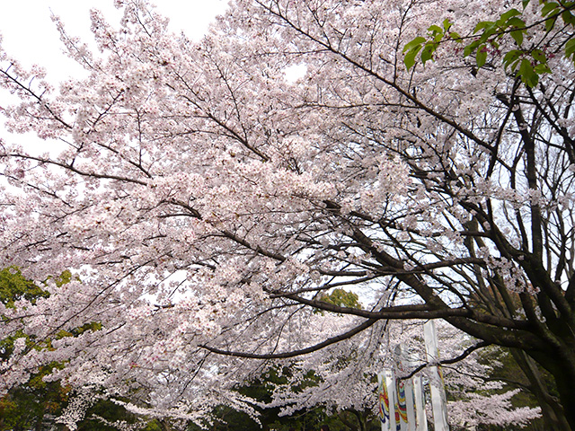 慶愛苑　平塚
