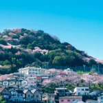特別養護老人ホーム　広島八景園 見学予約・空室状況の写真