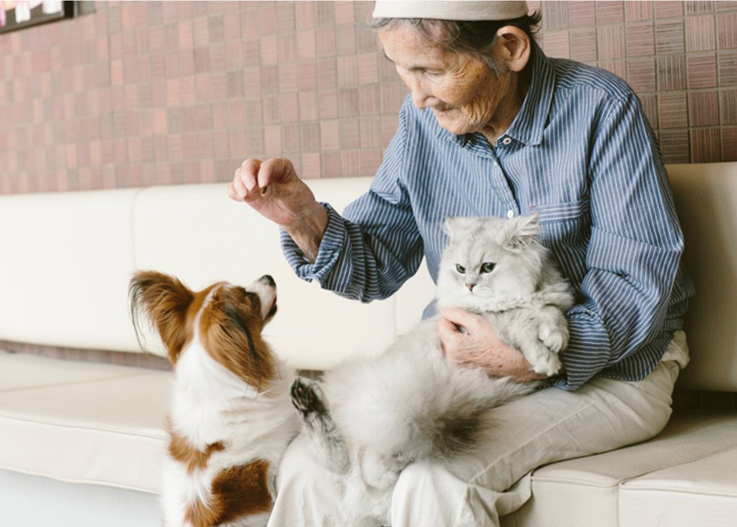 介護つき有料老人ホームでじま・くにくさ