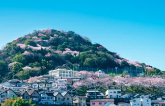 有料老人ホーム　広島八景園