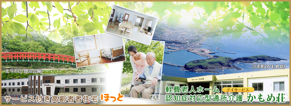 サービス付き高齢者向け住宅ほっと