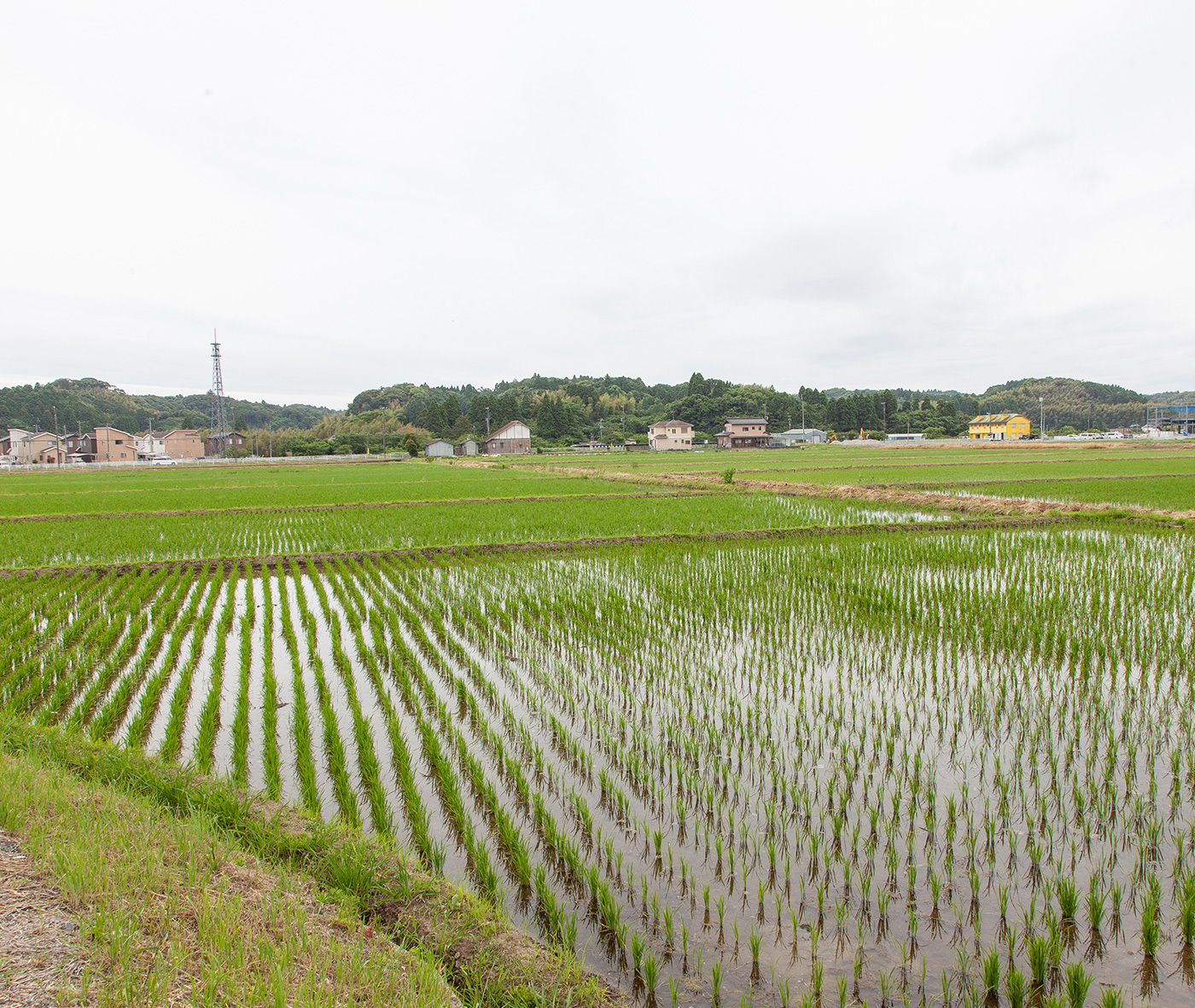 サービス付き高齢者向け住宅あすなろの家