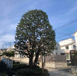 介護老人福祉施設 ひらお苑