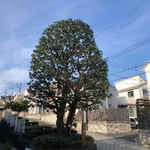 グループホームやまもも