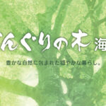 有料老人ホーム　くるみの木稲沢｜愛知県稲沢市祖父江町山崎鶴塚3番58の介護付き有料老人ホームの写真
