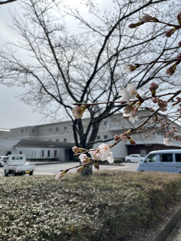 特別養護老人ホーム　ぬく森