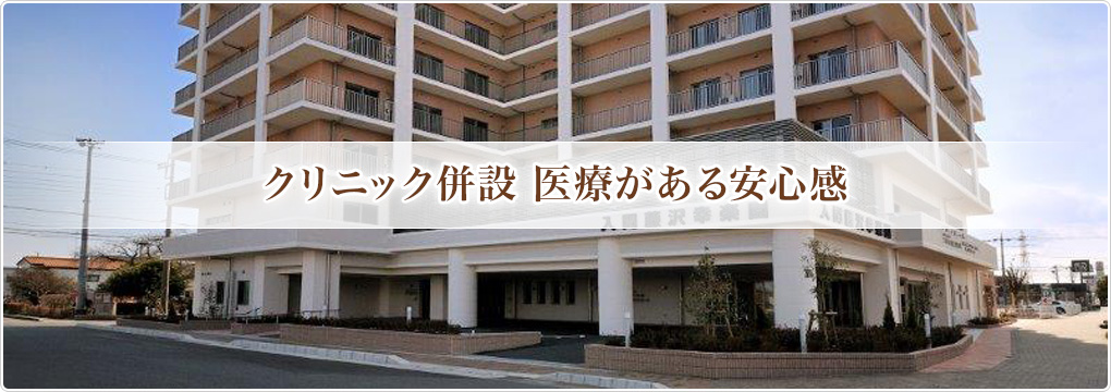入間藤沢幸楽園