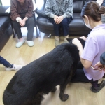すずらん